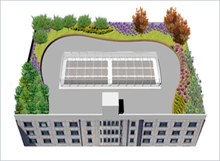 베드형 옥상 텃밭