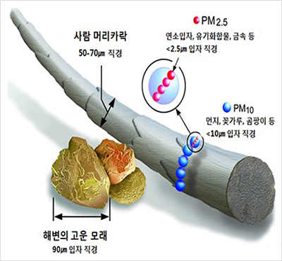 PM2.5 연소입자, 유기화합물, 금속 등 < 2.5마이크로미터 입자 직경 PM10 먼지, 꽃가루, 곰팡이 등 < 10마이크로미터 직경  사람 머리카락 50-70마이크로미터 지격 해변의 고운모래 90마이크로미터 입자 직경